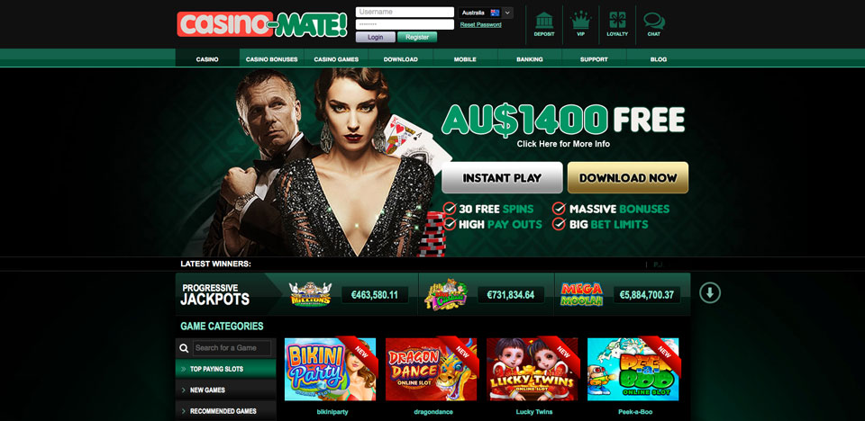 Casino-Mate Home Page